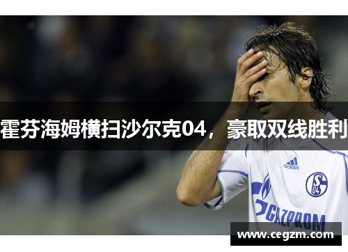 霍芬海姆横扫沙尔克04，豪取双线胜利